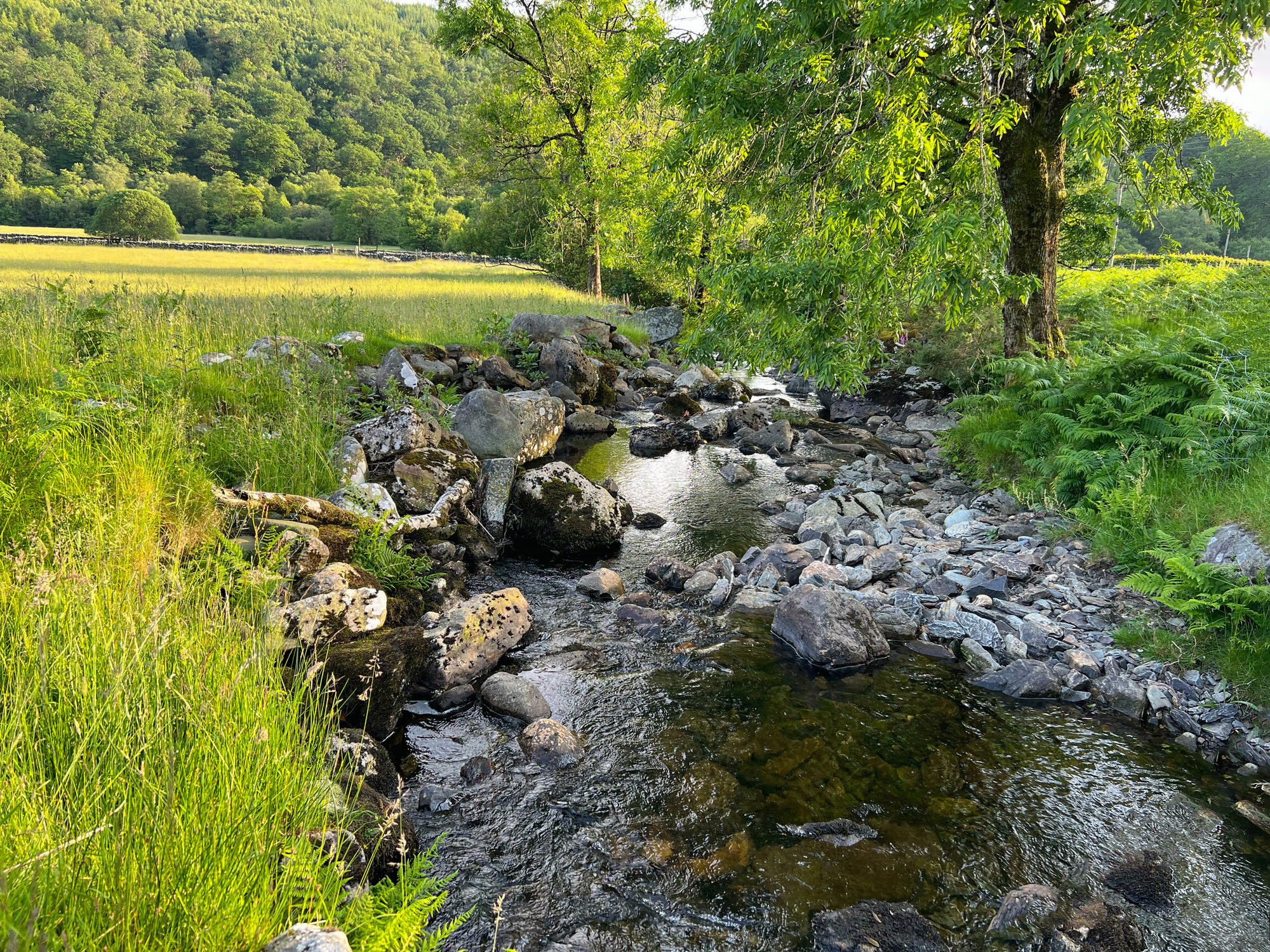 River near Capel Curig