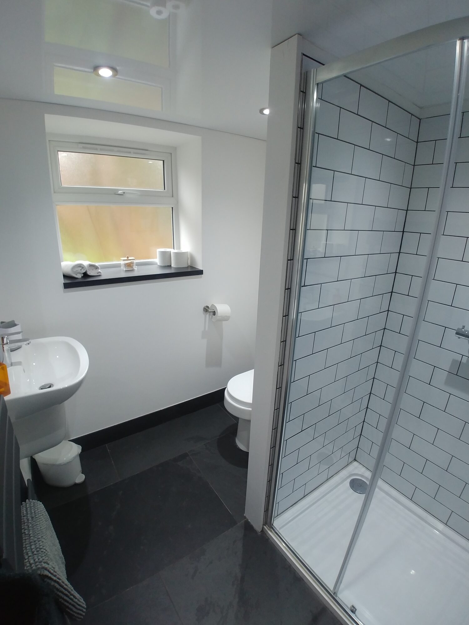 Modern shower room